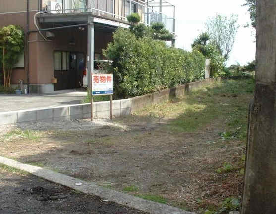1181画像